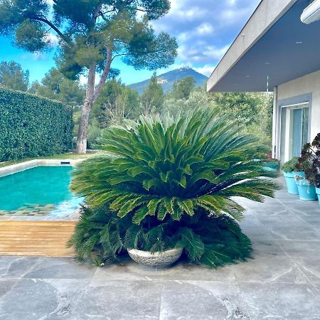 Chambre Luxe Dans Villa De Standing Avec Piscine, Acces Discret Et Independant, Terrasse Arboree Et Parking Prive La Valette-du-Var Exterior foto