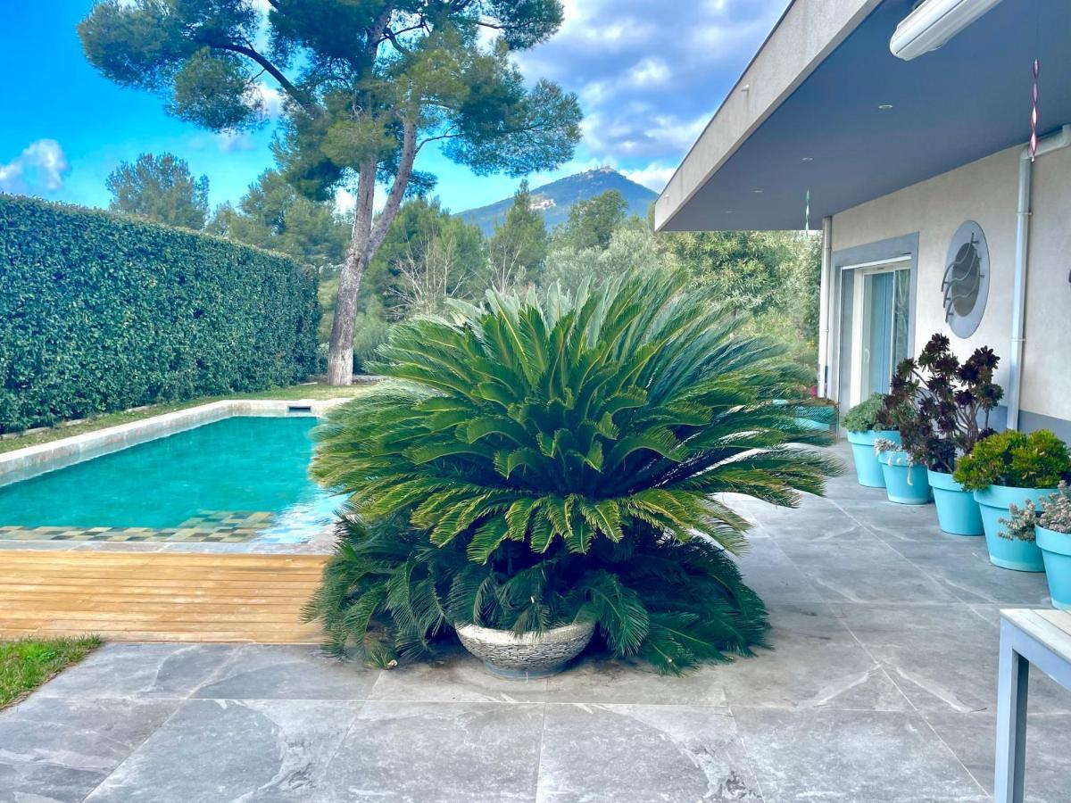 Chambre Luxe Dans Villa De Standing Avec Piscine, Acces Discret Et Independant, Terrasse Arboree Et Parking Prive La Valette-du-Var Exterior foto